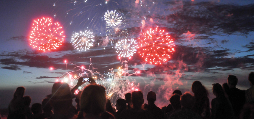 A crowd of people stands in silhouette at night, watching a vibrant fireworks display light up the dark sky